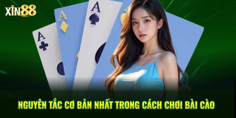 Cách chơi bài cào hiệu quả tại Xin88 giúp bạn dễ thắng 3 cách chơi bài cào 3