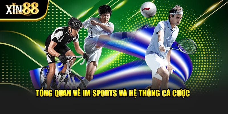 IM Sports Tại XIN88 Cá Cược Thể Thao Với Tỷ Lệ Kèo Hấp Dẫn 2 IM Sports 2