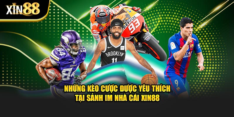 IM Sports Tại XIN88 Cá Cược Thể Thao Với Tỷ Lệ Kèo Hấp Dẫn 3 IM Sports 3