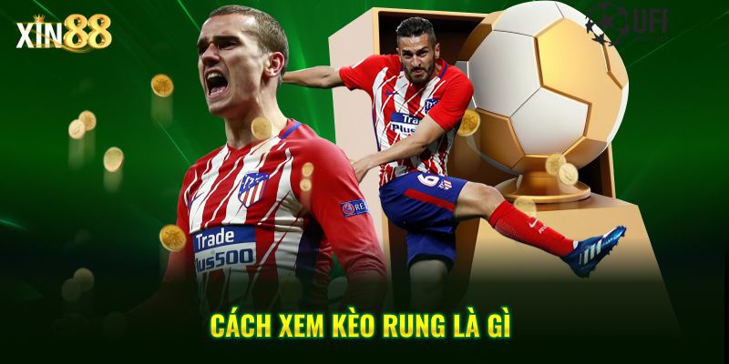 Kèo rung là gì? - Cách nhận diện và bắt kèo chuẩn tại Xin88 3 kèo rung là gì 3