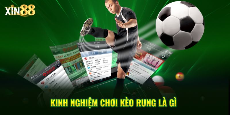 Kèo rung là gì? - Cách nhận diện và bắt kèo chuẩn tại Xin88 4 kèo rung là gì 4