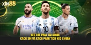 Kèo thẻ phạt Xin88 5