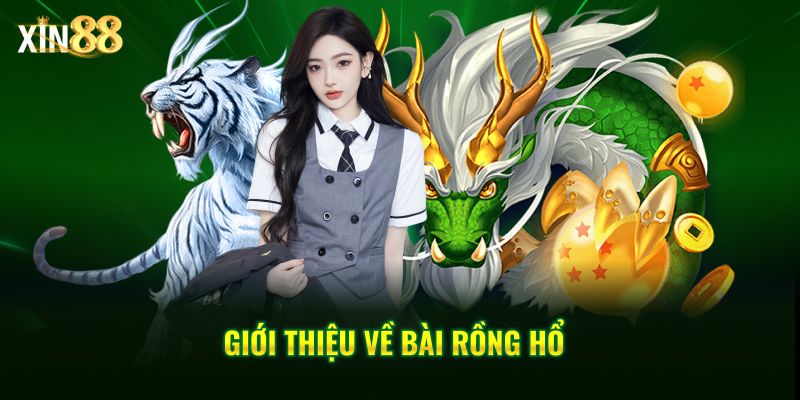 Luật chơi Rồng Hổ chi tiết và dễ hiểu cho người mới tại Xin88 2 luật chơi rồng hổ 2