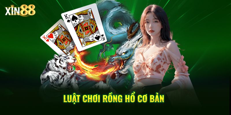 Luật chơi Rồng Hổ chi tiết và dễ hiểu cho người mới tại Xin88 3 luật chơi rồng hổ 3