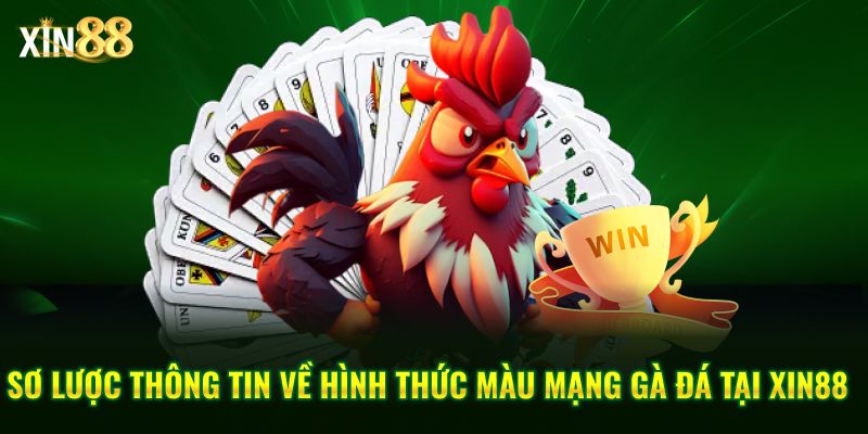 màu mạng gà đá 2