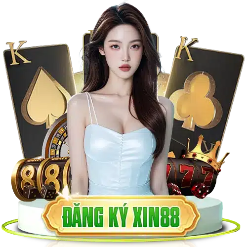 đki xin88 3
